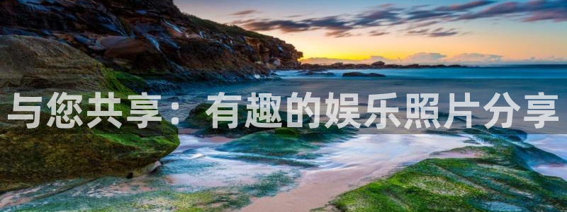 新航娱乐官网登录入口